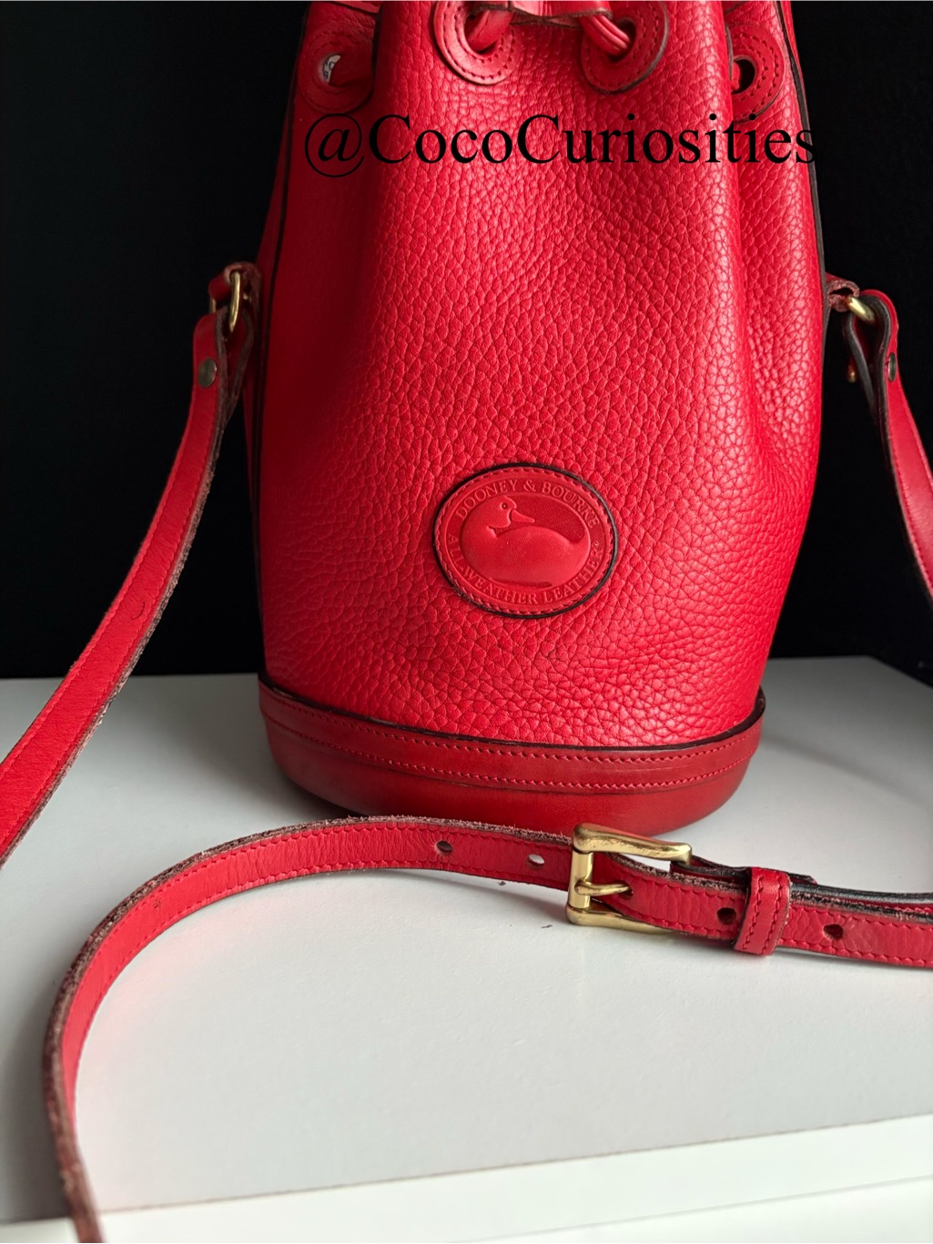 Dooney And Bourke Awl Red Leather Mini Bucket Drawstring Bag